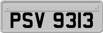 PSV9313