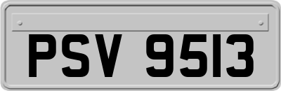 PSV9513