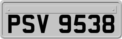 PSV9538