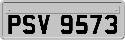 PSV9573