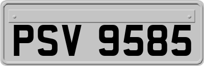 PSV9585