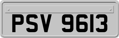 PSV9613