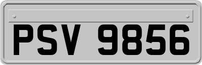 PSV9856