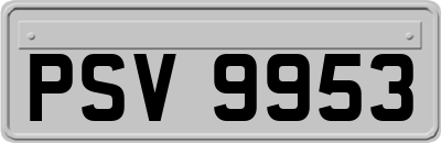 PSV9953