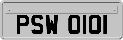 PSW0101