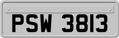PSW3813