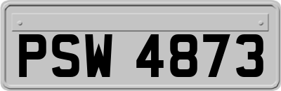 PSW4873
