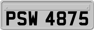 PSW4875