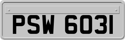 PSW6031