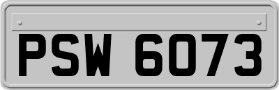 PSW6073