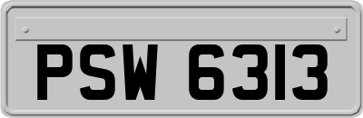 PSW6313