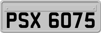 PSX6075