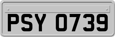 PSY0739