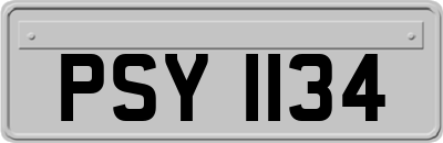 PSY1134
