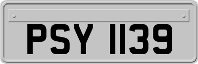 PSY1139