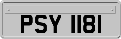 PSY1181