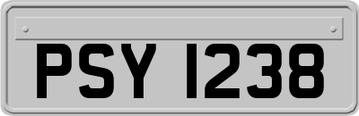 PSY1238