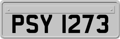 PSY1273