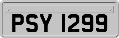 PSY1299