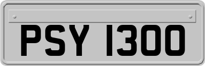 PSY1300