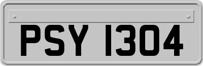 PSY1304