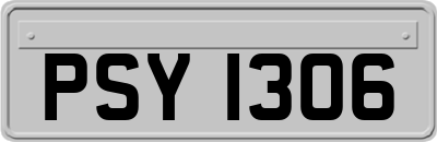 PSY1306