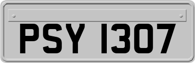 PSY1307