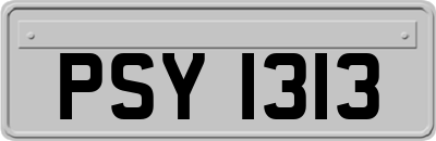 PSY1313