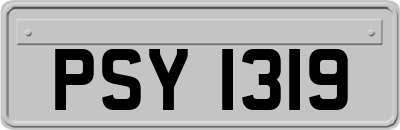 PSY1319