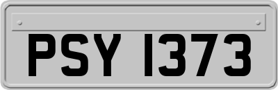 PSY1373