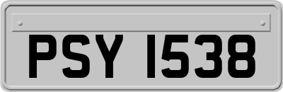 PSY1538