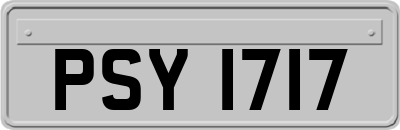 PSY1717