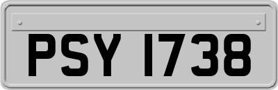 PSY1738