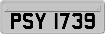 PSY1739