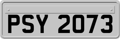 PSY2073