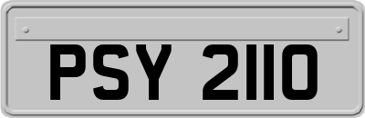 PSY2110