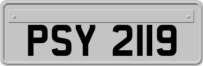 PSY2119