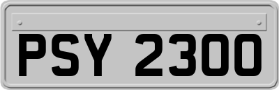 PSY2300