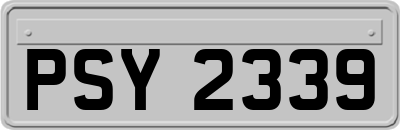 PSY2339