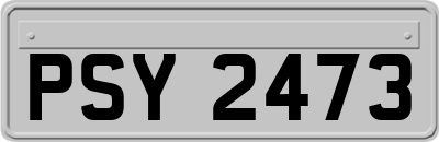 PSY2473