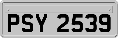 PSY2539