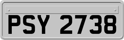 PSY2738