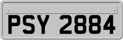 PSY2884