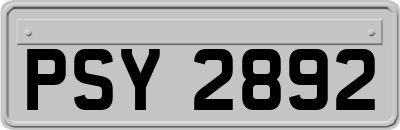 PSY2892