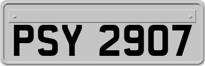 PSY2907