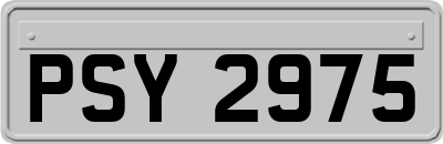 PSY2975