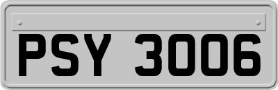 PSY3006