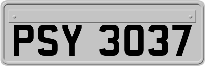 PSY3037