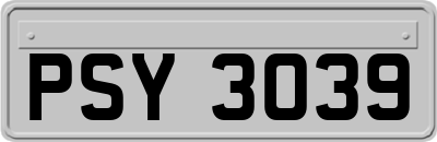 PSY3039
