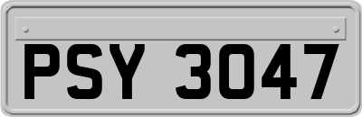 PSY3047